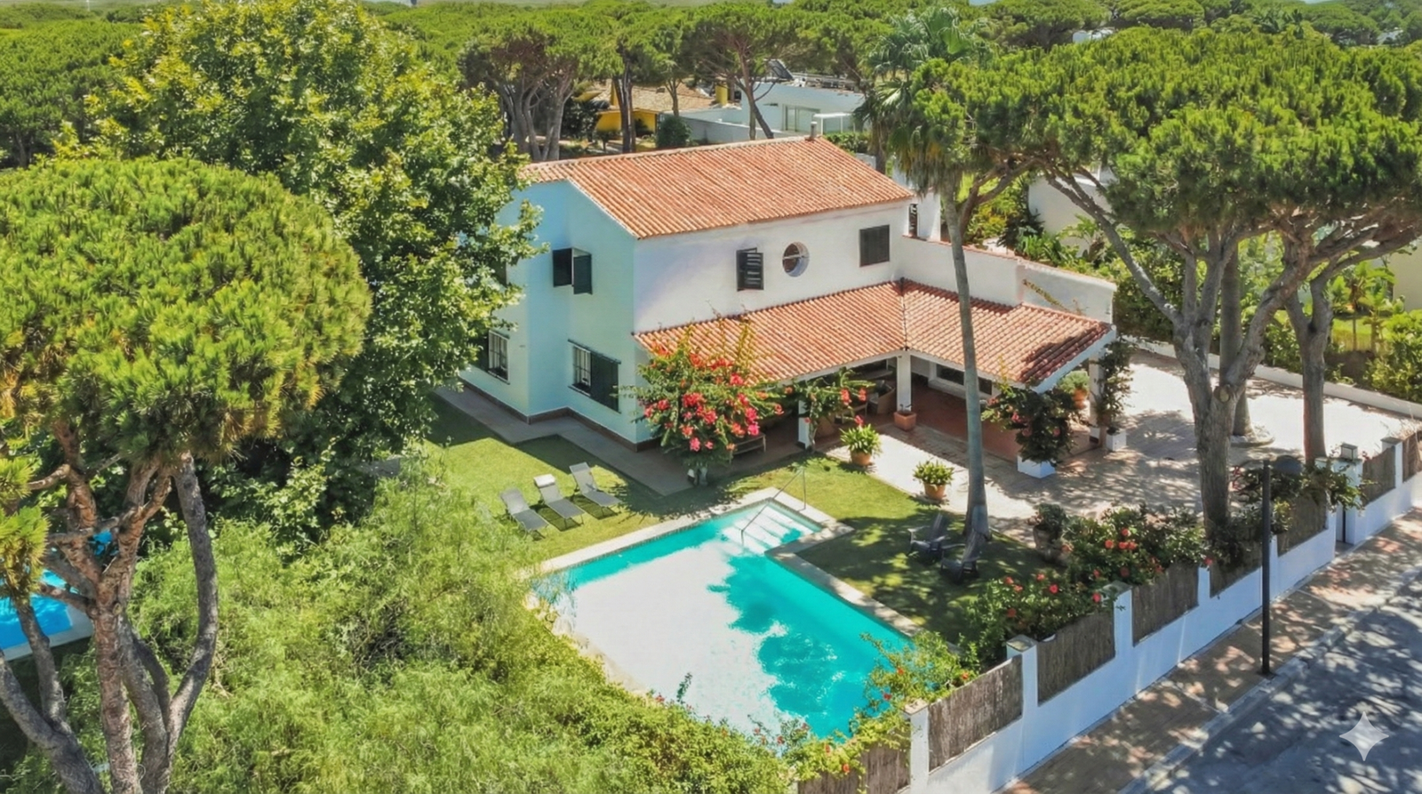 Gemini_Generated_Image_104whd104whd104w